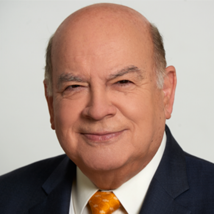 JOSÉ MIGUEL INSULZA SALINAS