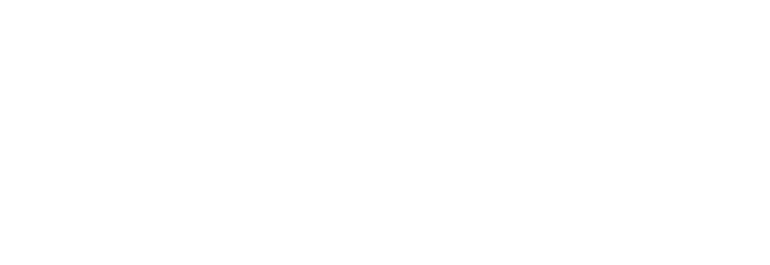 Partido Socialista